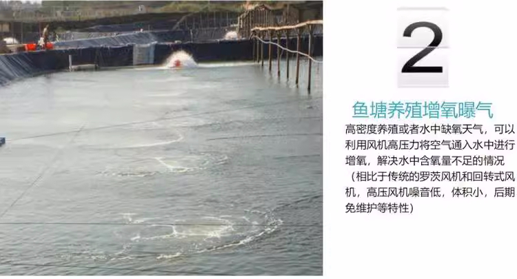鱼塘养殖增氧曝气
